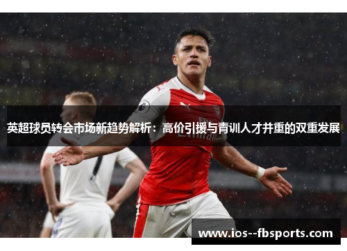 英超球员转会市场新趋势解析：高价引援与青训人才并重的双重发展
