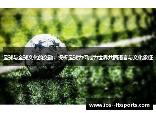足球与全球文化的交融:探析足球为何成为世界共同语言与文化象征 足球与全球文化的交融:探析足球为何成为世界共同语言与文化象征