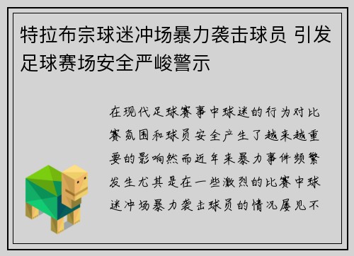 特拉布宗球迷冲场暴力袭击球员 引发足球赛场安全严峻警示
